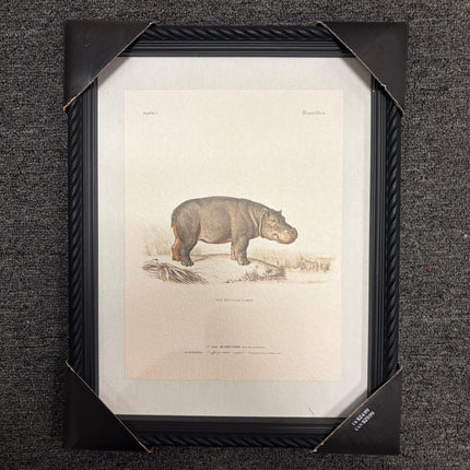 Summer Safari Wall Décor – 14" × 11"