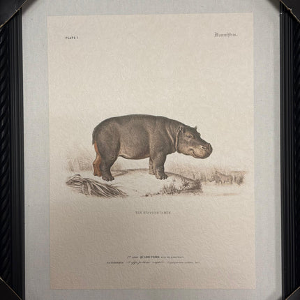 Summer Safari Wall Décor – 14" × 11"