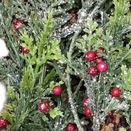 Ashland 5ft Christmas Glittery Evergreens and Red Berries Coiled Garland Decor