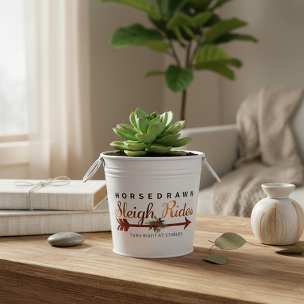 Ashland decorative home container used as a planter with a small succulent inside on a wooden table